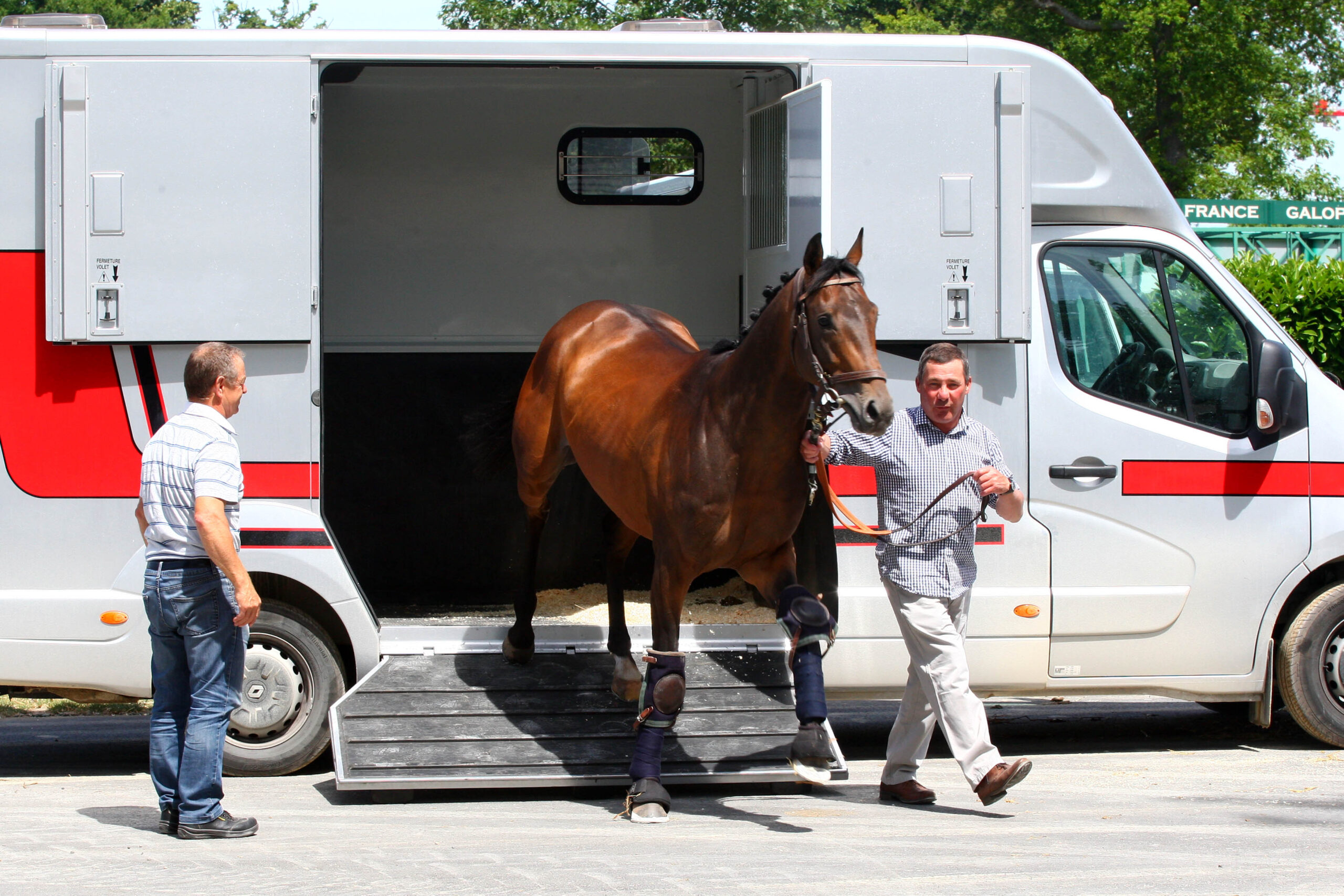 TAV et cheval dans le vanne