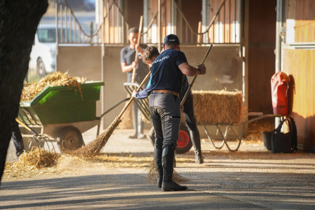 Nettoyage des box, responsable d'élevage
