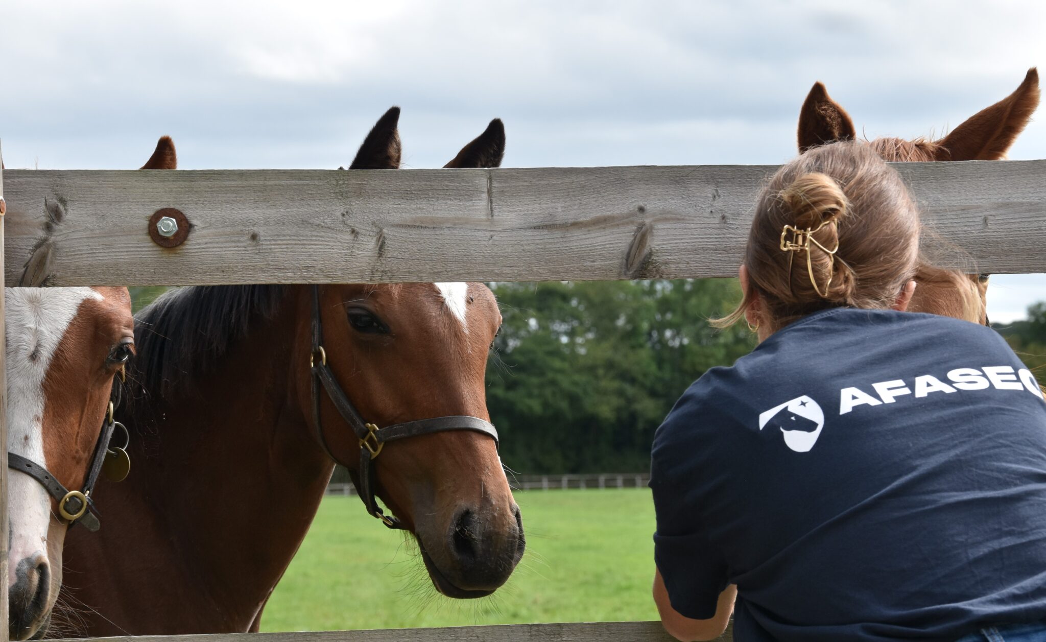 Responsable d'élevage