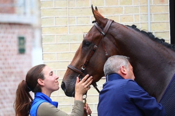 Personnel d'écurie et cheval