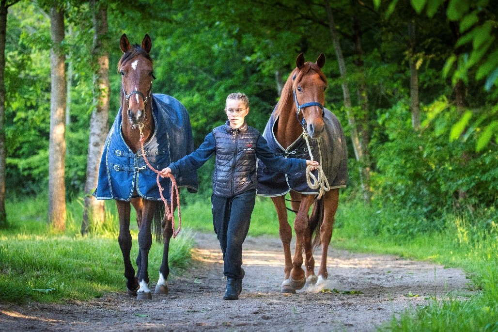 élèves à pied avec des chevaux