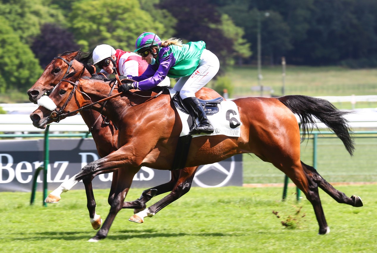 Course espoir galop