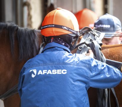 élève AFASEC écurie d’application Cheval élève AFASEC écurie d'application Cheval