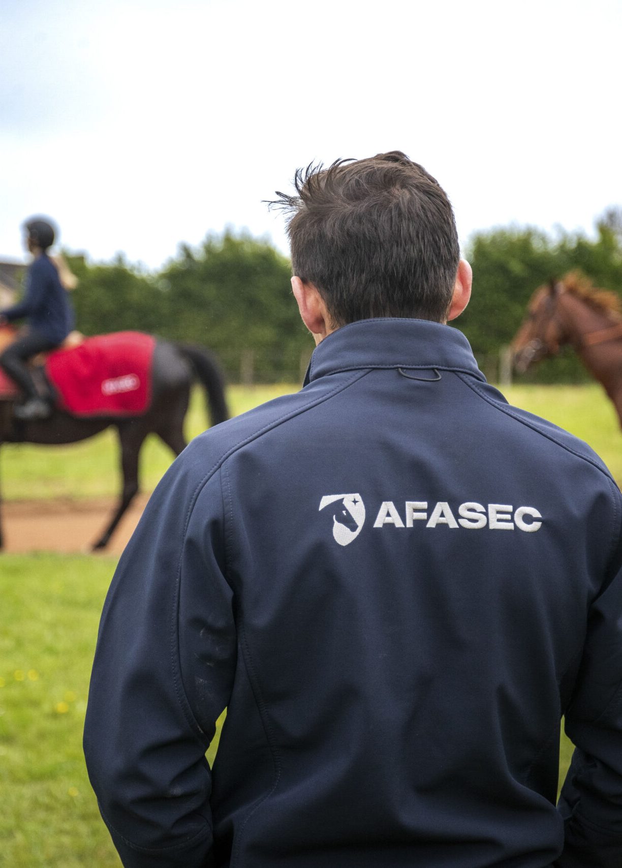 Travail illégal dans la filière équine : les erreurs à ne pas commettre AFASEC Travail illégal dans la filière équine : les erreurs à ne pas commettre AFASEC