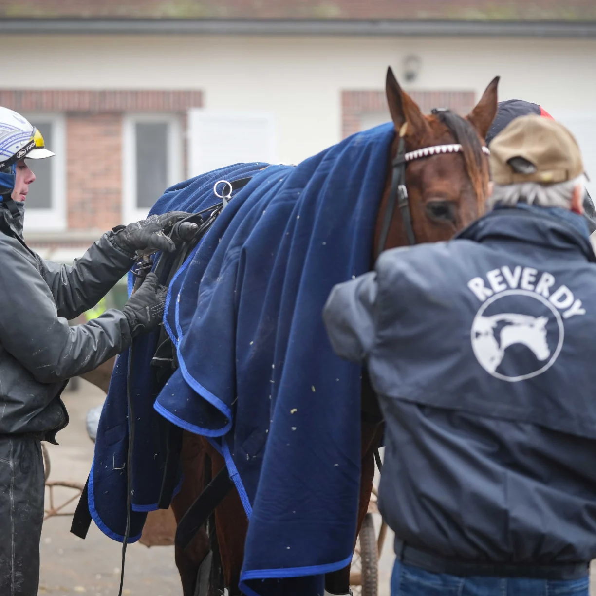 cheval écurie avec lad drivers cheval écurie avec lad drivers